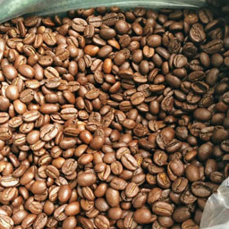 coffee beans